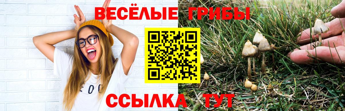 Галлюциногенные грибы GOLDEN TEACHER Жигулёвск