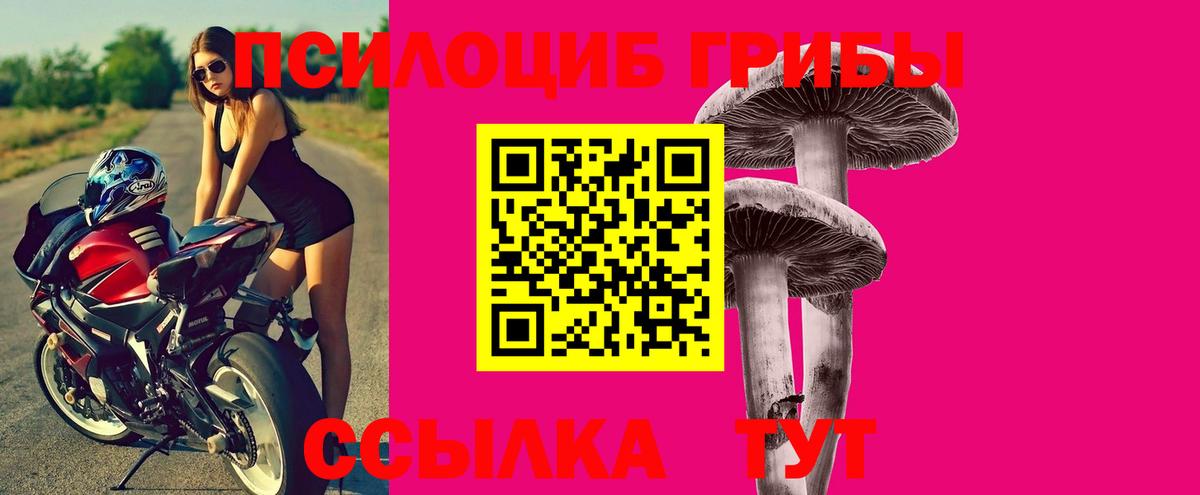 Жигулёвск  купить   Вход с VPN  Псилоцибиновые грибы Magic Shrooms  Галлюциногенные грибы прущие грибы 